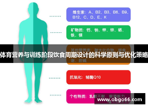 体育营养与训练阶段饮食周期设计的科学原则与优化策略